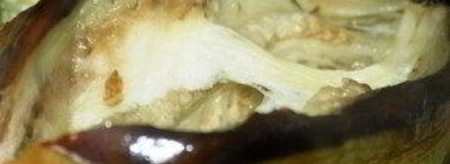 фаршированные баклажаны по-армянски. Шаг 8