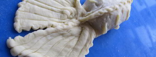 пельмень-рыба. Шаг 5