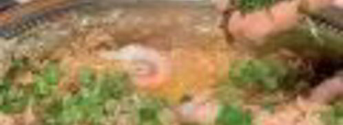 пилав с креветками. Шаг 6