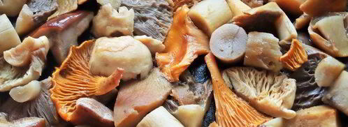 грибное рагу с овощами. Шаг 9