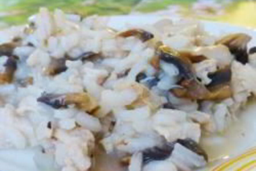 Рецепт ризотто с курицей и грибами