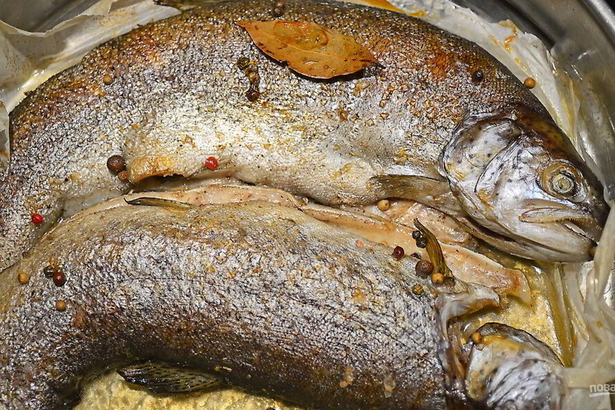 Рецепт речной рыбы в духовке