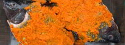 рыба по-индонезийски. Шаг 4