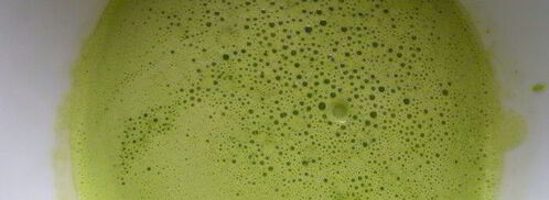 семга-гриль с мороженым из петрушки. Шаг 5