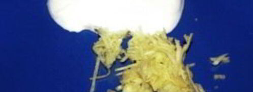 жареные креветки в чесночном соусе. Шаг 5