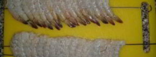 шашлык из креветок на шпажках. Шаг 3