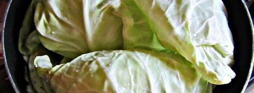 пикантные шницели из молодой капусты. Шаг 3