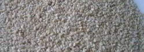 шницель в мятной панировке с кунжутом. Шаг 6