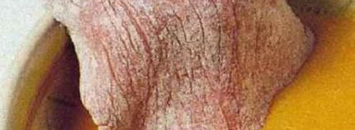 шницели алла миланезе фаршированные. Шаг 22