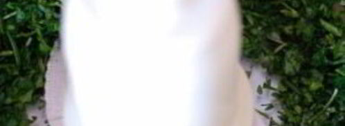 стейки в зеленом маринаде. Шаг 4