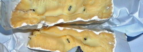 тефтели с сыром и шпинатом, в томатном соусе. Шаг 7