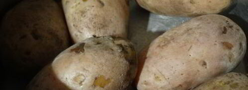 ленивые вареники из картошки со шкварками. Шаг 9