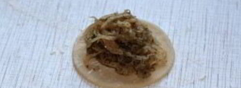 вареники с квашеной капустой. Шаг 10