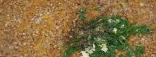 гречка с овощами и чесноком. Шаг 7