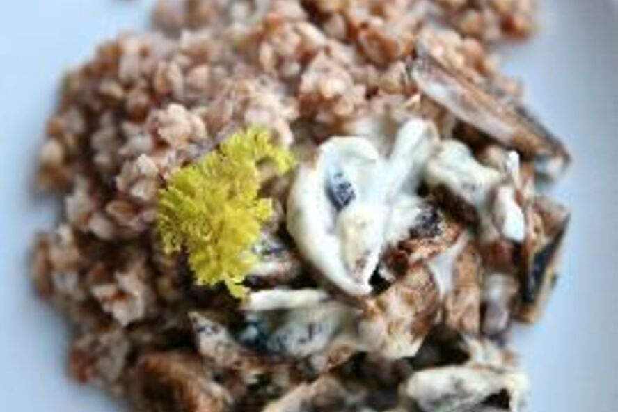 Рецепт гречки со сливочным грибным соусом