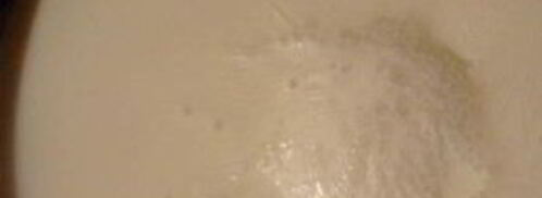 каша по-гурьевски. Шаг 5