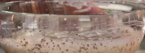 манная каша с кофе. Шаг 4