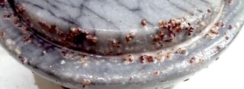 кутья из перловки на рождество рождественская. Шаг 8