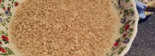 перловая каша с грибами в духовке. Шаг 3