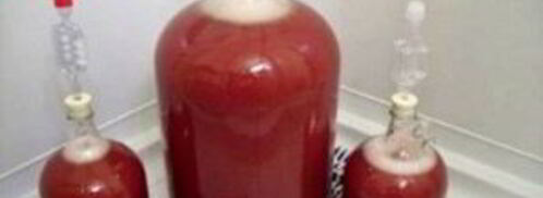 брага для самогона из варенья. Шаг 7