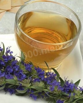 Чай с иссопом