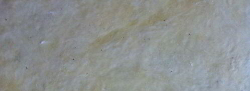 киш с шампиньонами. Шаг 5