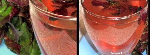 очень полезный, вкусный холодный чай из базилика. Шаг 5