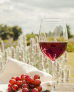 Домашнее вино из Лидии