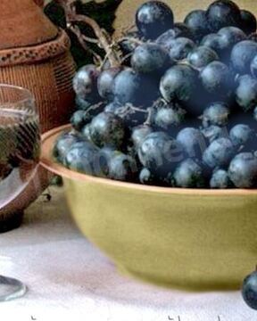 Домашнее вино из синего винограда