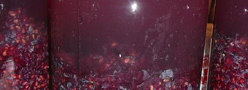 домашнее вино изабелла. Шаг 5