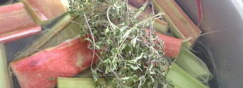 кисель чабрец, ревень и малина. Шаг 3