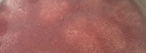 кисель чабрец, ревень и малина. Шаг 6