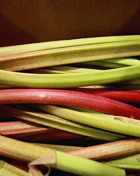 Кисель из ревеня