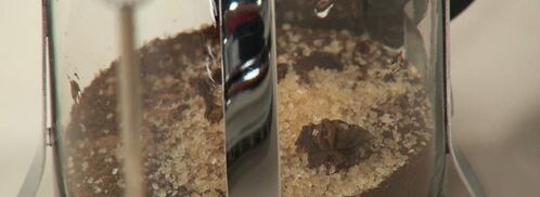 кофе масала. Шаг 3