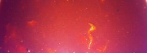 свиные ребра в кофейном соусе. Шаг 10