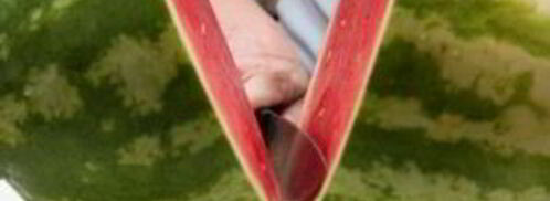 коктейль из арбуза. Шаг 3