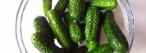 огурцы квашеные с водкой. Шаг 4