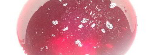 квас из аронии. Шаг 5