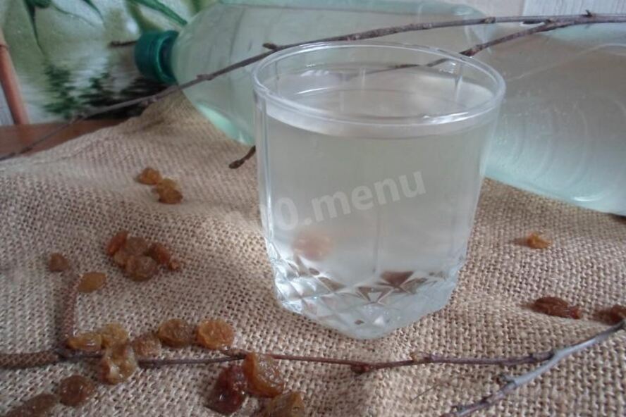 Рецепт кваса из березового сока без дрожжей