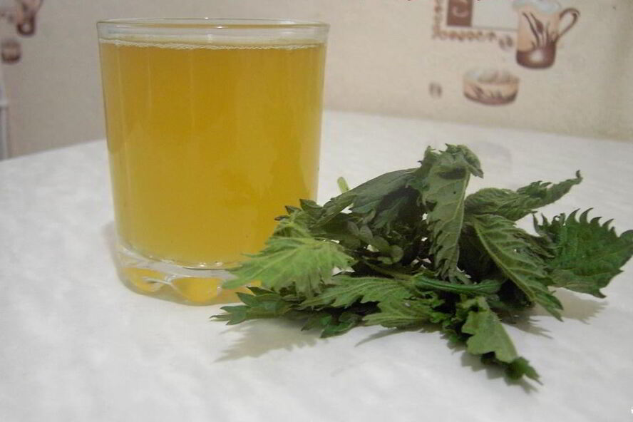 Рецепт кваса из крапивы