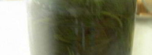 квас из крапивы. Шаг 3