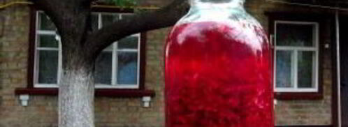 квас из красной свеклы. Шаг 4