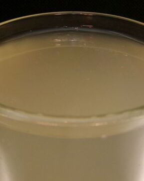 Квас из муки