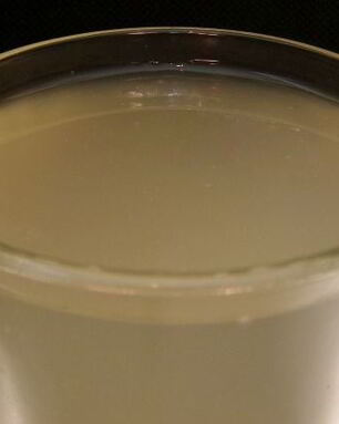 Квас из муки