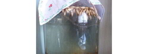 квас из овса летний. Шаг 4