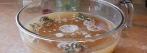 квас на хлебе. Шаг 4