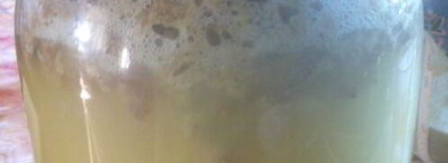 квас на ржаной закваске. Шаг 4