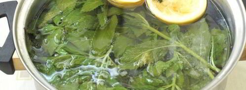 мятный квас. Шаг 3