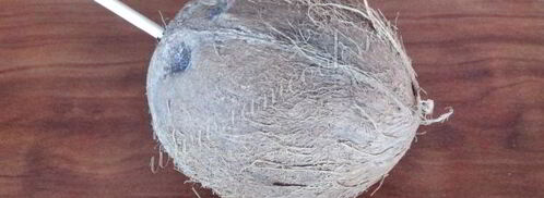 ликер кокосовый. Шаг 5