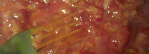 ликер королевский. Шаг 14